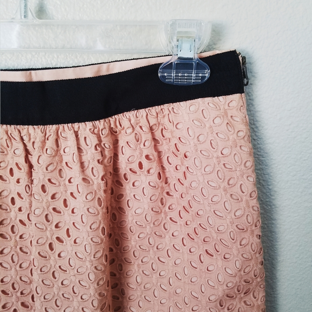 Ann Taylor LOFT Tulip Skirt